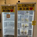 맛있개 먹었냥 | 김해강아지간식, 콩이가 환장하는 24시 애견 수제 간식점 [맛있개 먹었냥]