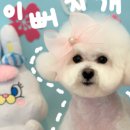 이뻐지개 이미지