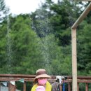 티하우스키즈펜션 이미지