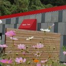 무인텔애플 이미지