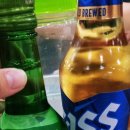 진성아구찜용전점 | 용전동 맛집 진성아구찜 후기