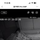 엄마의마음 이미지