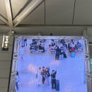 디오티디 인천랍스터주유소 | 토론토&amp;뉴욕 가족여행 Day1-2🇨🇦