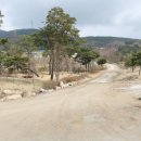 양평 베이스캠프 이미지