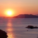 산양일주도로가로수 이미지