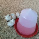 현성농장 이미지