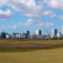 분당행정사 사무소 이미지