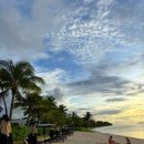 켄싱턴 수영장 이미지