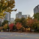 청북약국 이미지