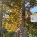 용소농장 이미지