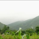 사나사(초입) 이미지