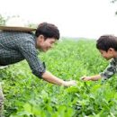 함께하는 농장 이미지