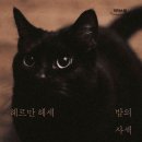 밤의사색 이미지