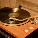 싱글 인 서울 이미지