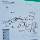 황골탈태 뼈해장국 | 역시나 '악!', 치악산