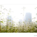 세창농장 이미지