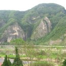 동강시스타 이미지