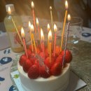 최부걸 | 베일에 쌓인 나의 연말 연초 대공개