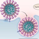 임진왜란 때 의병 정신으로 극복하자 이미지