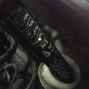 현Motors