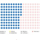 21대 정당 의석수 이미지