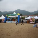 대사초등학교 Daum카페