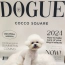 코코스퀘어 애견미용 이미지