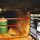 라스코동굴벽화 광명 동굴전 이미지