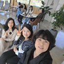 대흥부동산공인중개사사무소 이미지