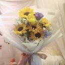크리스탈플레르