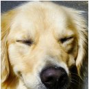 시원메디컬센타 이미지