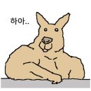 한빛안과의원 이미지