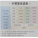 삼부스포렉스 이미지