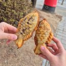 미도양품 | 읏추읏추 겨울이다 - 12월 둘째주 일상