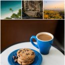 가드닝과 정원만들기 | 나만의 정원 만들기 가드닝 시작 후기