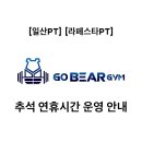 고 베어 짐 이미지