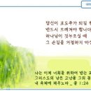 일일예화말씀묵상 2024년 12월 6일 (금) - 어미 새 사랑 이미지