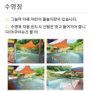 단풍숲캠핑장 티스토리