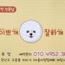 이쁘개 잘하개 이미지