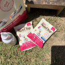 성보헬스 이미지