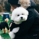 스토리 멍 이미지