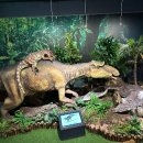 공룡목장 이미지