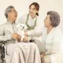 사랑으로방문요양센터 이미지