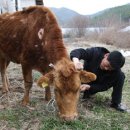 이광섭농장 이미지