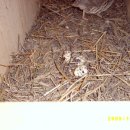 인석농장 이미지