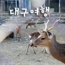 꽃사슴화원 이미지