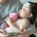 서울패미리병원 | 양산 서울패미리병원 폐렴(+라이노 바이러스+헤모필루스 인플루엔자)으로 일주일 입원한 후기 🤒