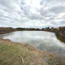 상모리-12 이미지