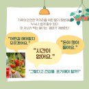 예찬농장 이미지