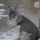 고촌동물병원 이미지